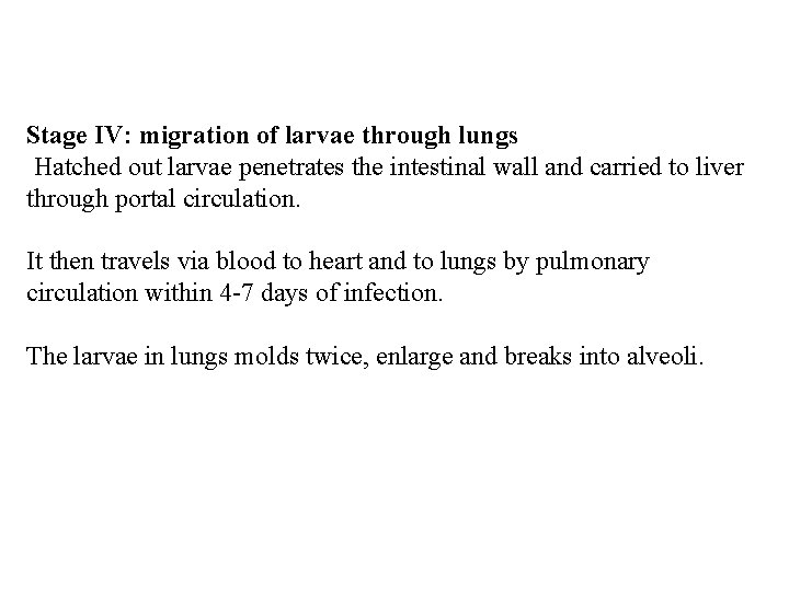 Stage IV: migration of larvae through lungs Hatched out larvae penetrates the intestinal wall