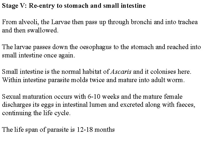 Stage V: Re-entry to stomach and small intestine From alveoli, the Larvae then pass