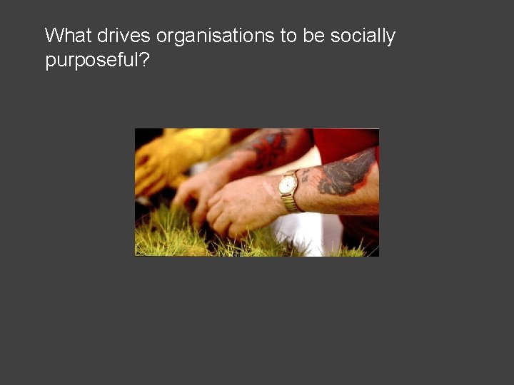 What drives organisations to be socially purposeful? 