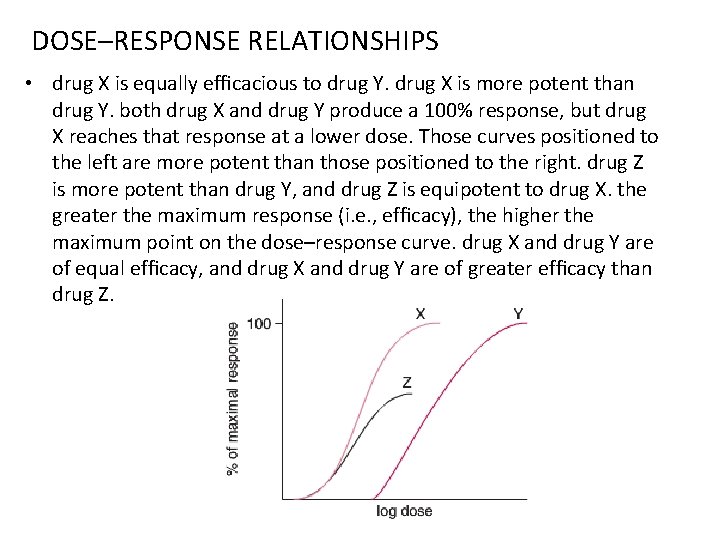 DOSE–RESPONSE RELATIONSHIPS • drug X is equally efﬁcacious to drug Y. drug X is