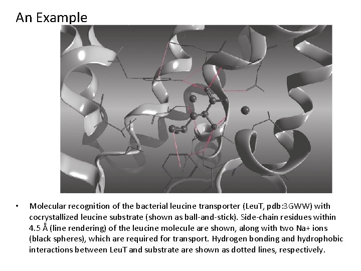 An Example • Molecular recognition of the bacterial leucine transporter (Leu. T, pdb: 3