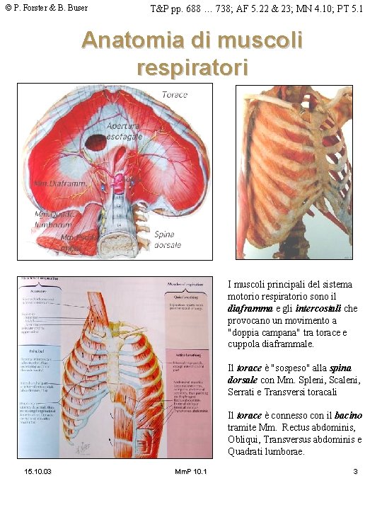 © P. Forster & B. Buser T&P pp. 688 … 738; AF 5. 22