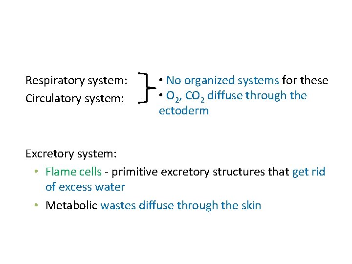 Respiratory system: Circulatory system: • No organized systems for these • O 2, CO