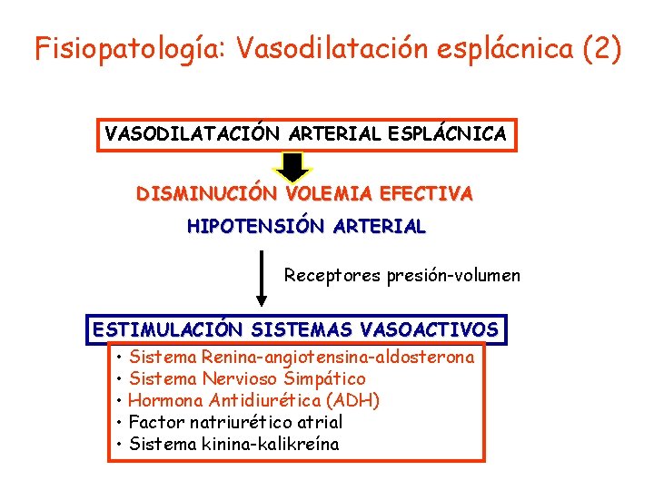 Fisiopatología: Vasodilatación esplácnica (2) VASODILATACIÓN ARTERIAL ESPLÁCNICA DISMINUCIÓN VOLEMIA EFECTIVA HIPOTENSIÓN ARTERIAL Receptores presión-volumen