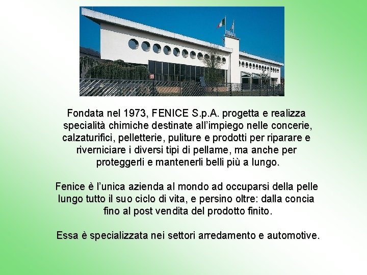 Fondata nel 1973, FENICE S. p. A. progetta e realizza specialità chimiche destinate all’impiego