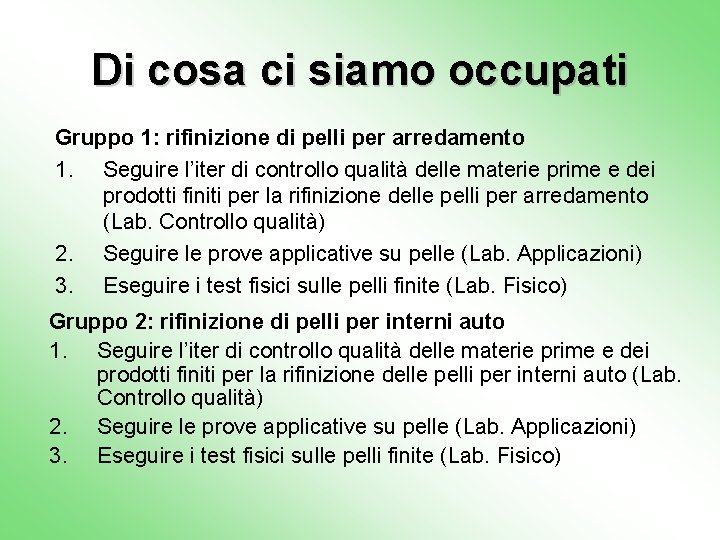 Di cosa ci siamo occupati Gruppo 1: rifinizione di pelli per arredamento 1. Seguire
