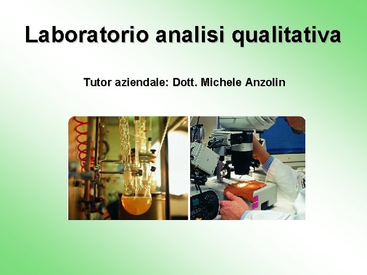 Laboratorio analisi qualitativa Tutor aziendale: Dott. Michele Anzolin 