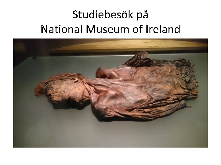 Studiebesök på National Museum of Ireland 