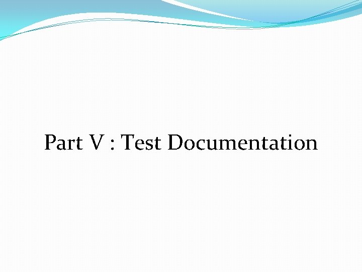 Part V : Test Documentation 