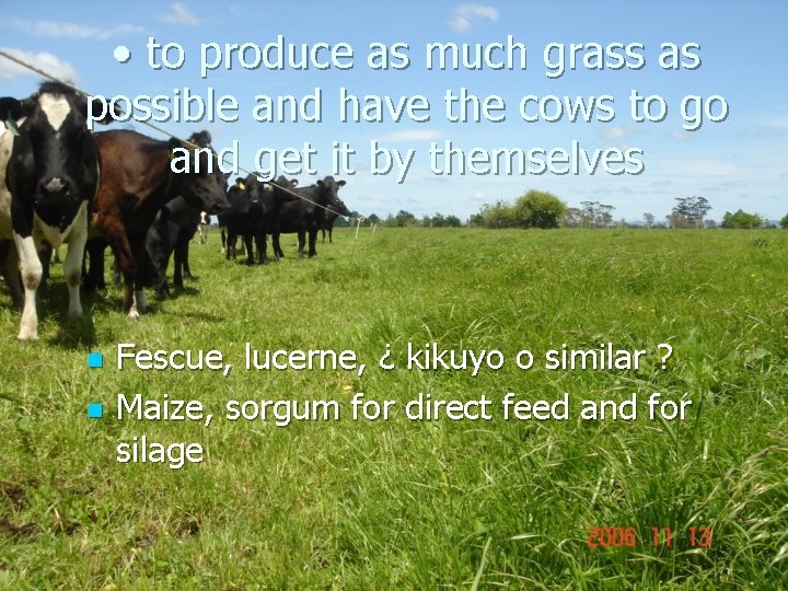  • to produce as much grass as possible and have the cows to