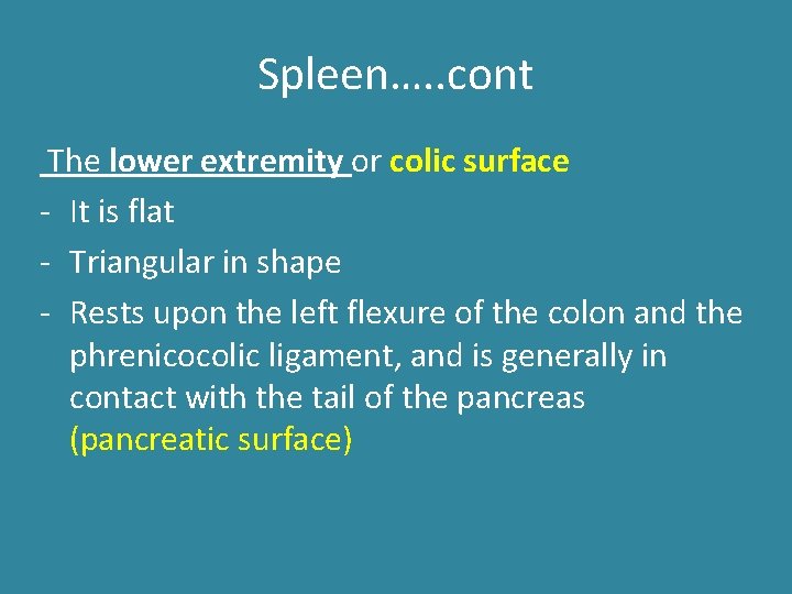 Spleen…. . cont The lower extremity or colic surface - It is flat - Spleen…. . cont The lower extremity or colic surface - It is flat -
