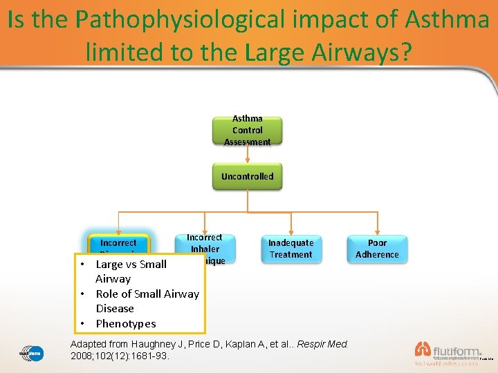 Is the Pathophysiological impact of Asthma limited to the Large Airways? Asthma Control Assessment
