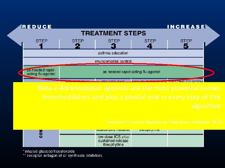 Beta 2 -Adrenoceptor agonists are the most powerful known bronchodilators and play a pivotal