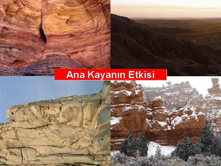 Ana Kayanın Etkisi 