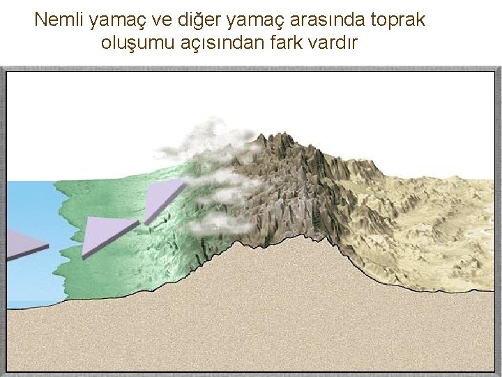 Nemli yamaç ve diğer yamaç arasında toprak oluşumu açısından fark vardır 