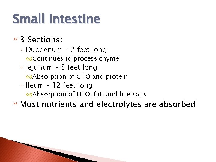 Small Intestine 3 Sections: ◦ Duodenum – 2 feet long Continues to process chyme