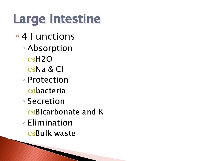 Large Intestine 4 Functions ◦ Absorption H 2 O Na & Cl ◦ Protection