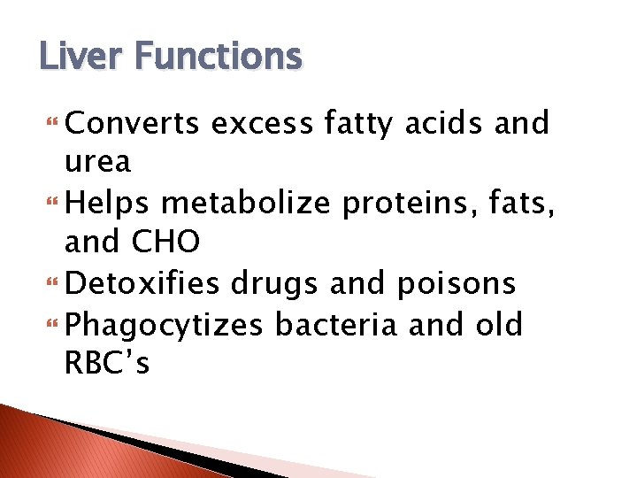 Liver Functions Converts excess fatty acids and urea Helps metabolize proteins, fats, and CHO