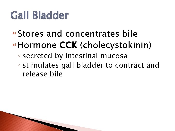 Gall Bladder Stores and concentrates bile Hormone CCK (cholecystokinin) ◦ secreted by intestinal mucosa
