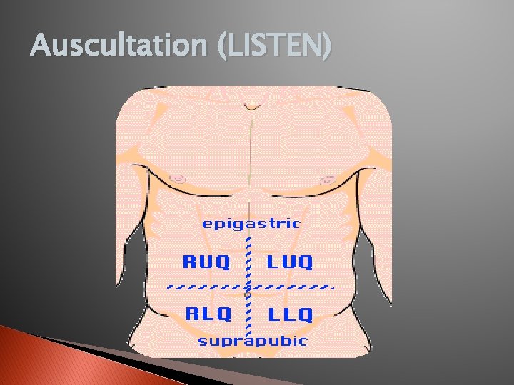 Auscultation (LISTEN) 