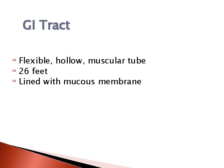 GI Tract Flexible, hollow, muscular tube 26 feet Lined with mucous membrane 