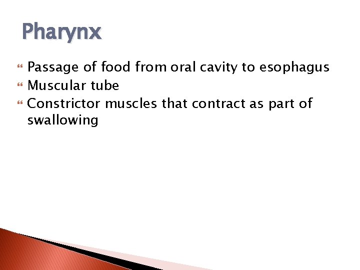 Pharynx Passage of food from oral cavity to esophagus Muscular tube Constrictor muscles that