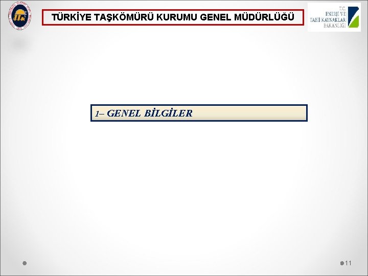 TÜRKİYE TAŞKÖMÜRÜ KURUMU GENEL MÜDÜRLÜĞÜ 1– GENEL BİLGİLER 11 