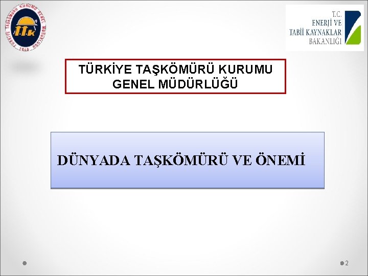 TÜRKİYE TAŞKÖMÜRÜ KURUMU GENEL MÜDÜRLÜĞÜ DÜNYADA TAŞKÖMÜRÜ VE ÖNEMİ 2 