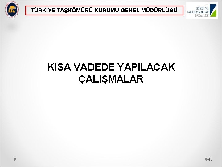 TÜRKİYE TAŞKÖMÜRÜ KURUMU GENEL MÜDÜRLÜĞÜ KISA VADEDE YAPILACAK ÇALIŞMALAR 46 