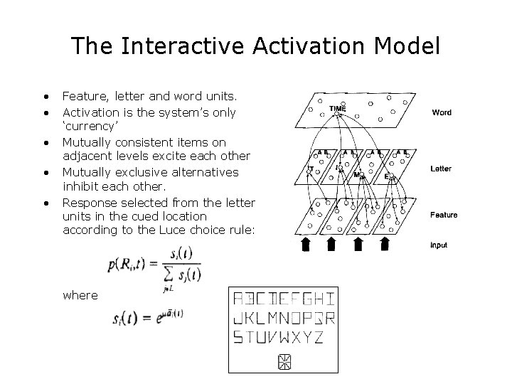 The Interactive Activation Model • • • Feature, letter and word units. Activation is