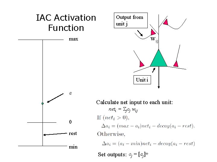 IAC Activation Function Output from unit j wij max Unit i a Calculate net