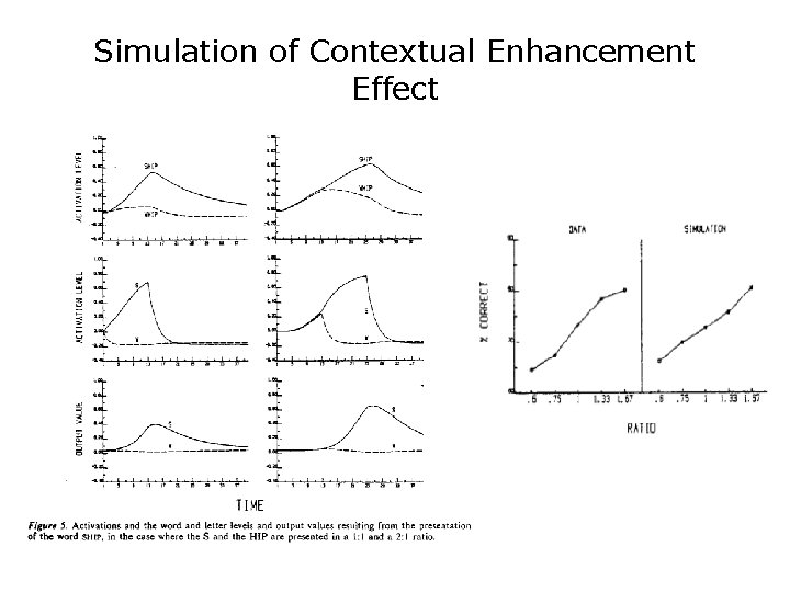 Simulation of Contextual Enhancement Effect 