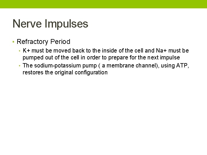 Nerve Impulses • Refractory Period • K+ must be moved back to the inside