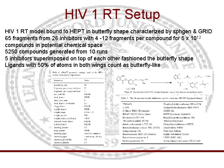 HIV 1 RT Setup HIV 1 RT model bound to HEPT in butterfly shape