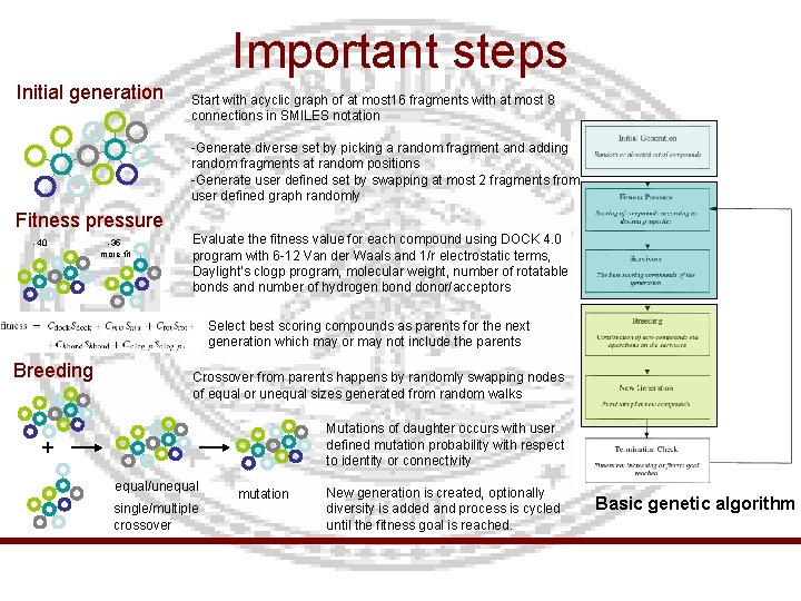 Important steps Initial generation Start with acyclic graph of at most 16 fragments with