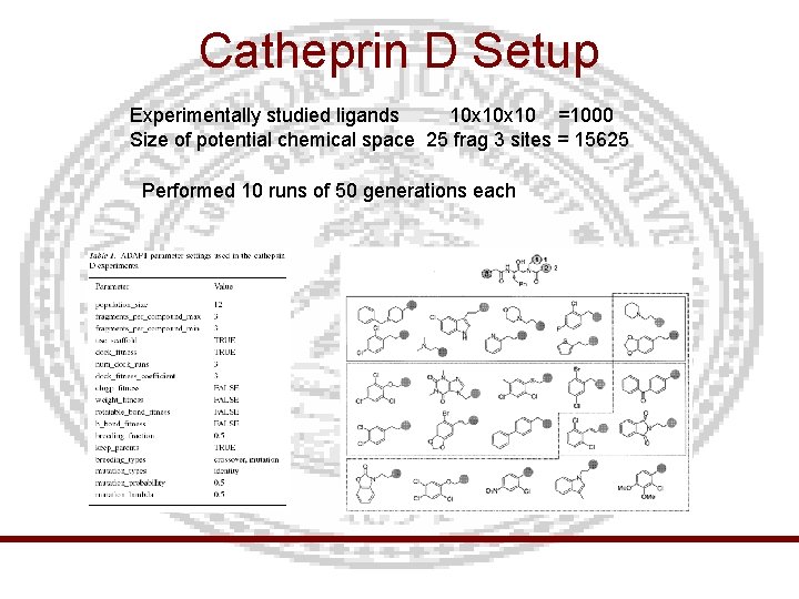 Catheprin D Setup Experimentally studied ligands 10 x 10 =1000 Size of potential chemical