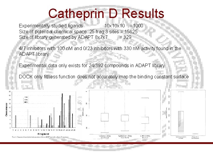 Catheprin D Results Experimentally studied ligands 10 x 10 =1000 Size of potential chemical
