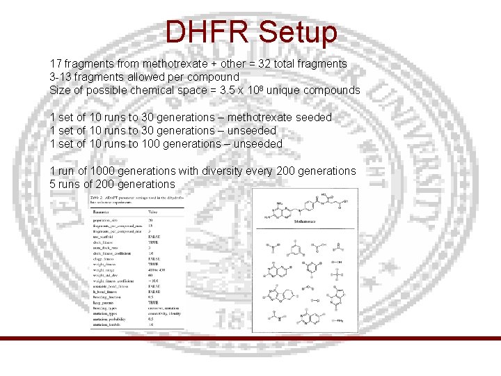 DHFR Setup 17 fragments from methotrexate + other = 32 total fragments 3 -13