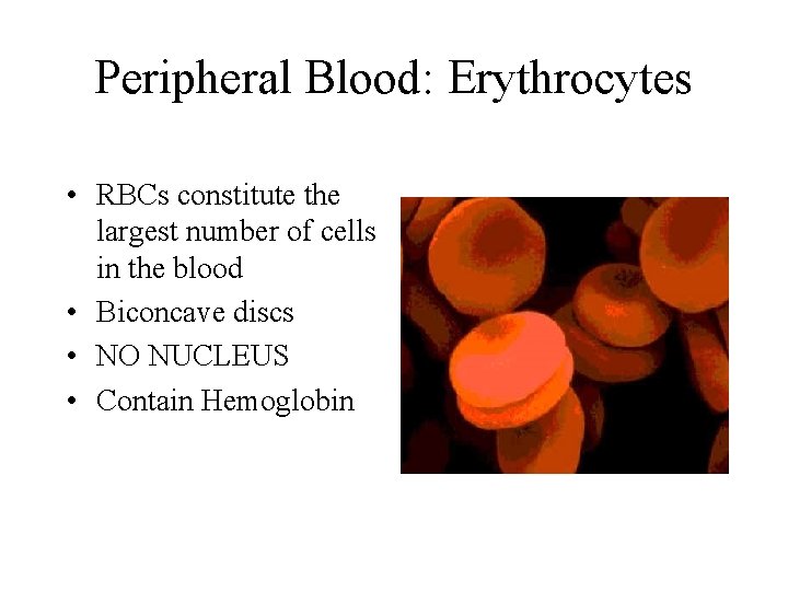 Peripheral Blood: Erythrocytes • RBCs constitute the largest number of cells in the blood
