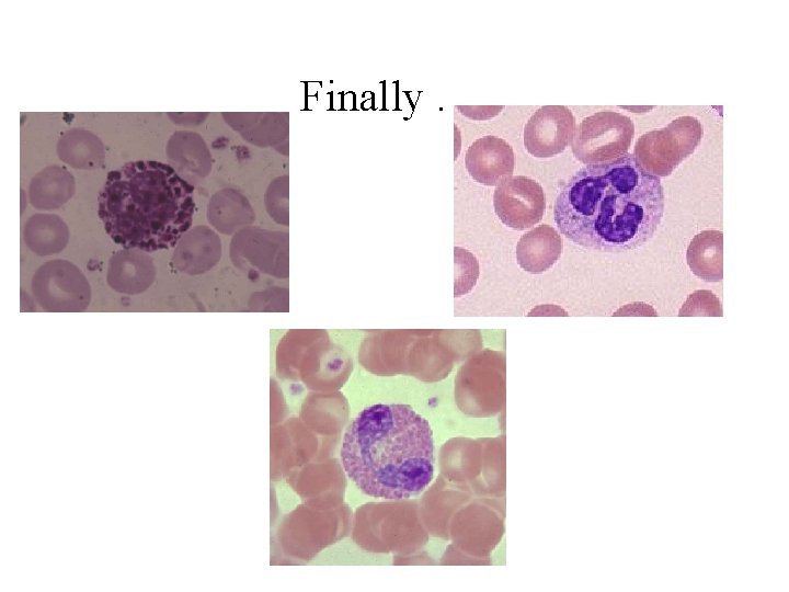 Finally. . . 
