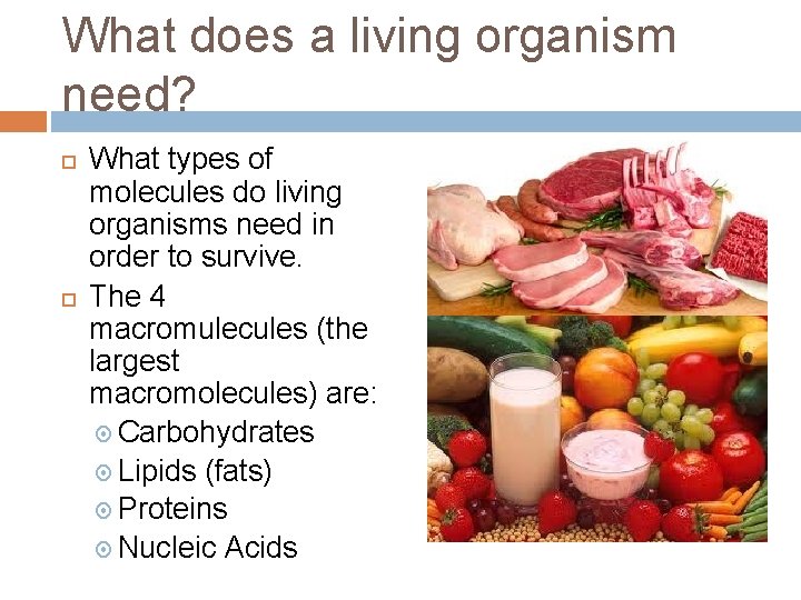 What does a living organism need? What types of molecules do living organisms need