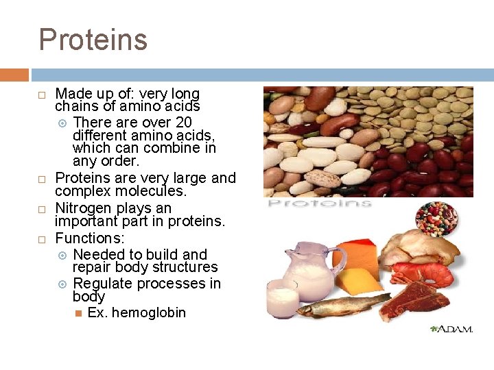 Proteins Made up of: very long chains of amino acids There are over 20