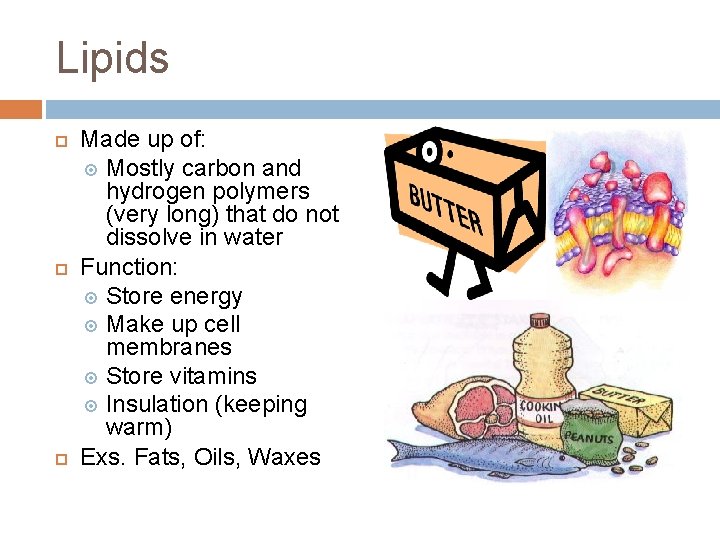 Lipids Made up of: Mostly carbon and hydrogen polymers (very long) that do not