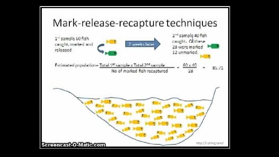 http: //i. ytimg. com/ 