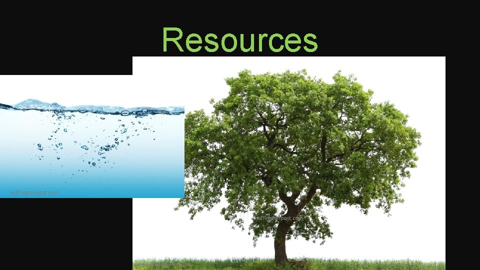 Resources Huffingtonpost. com Hollywoodpark-tx. gov 