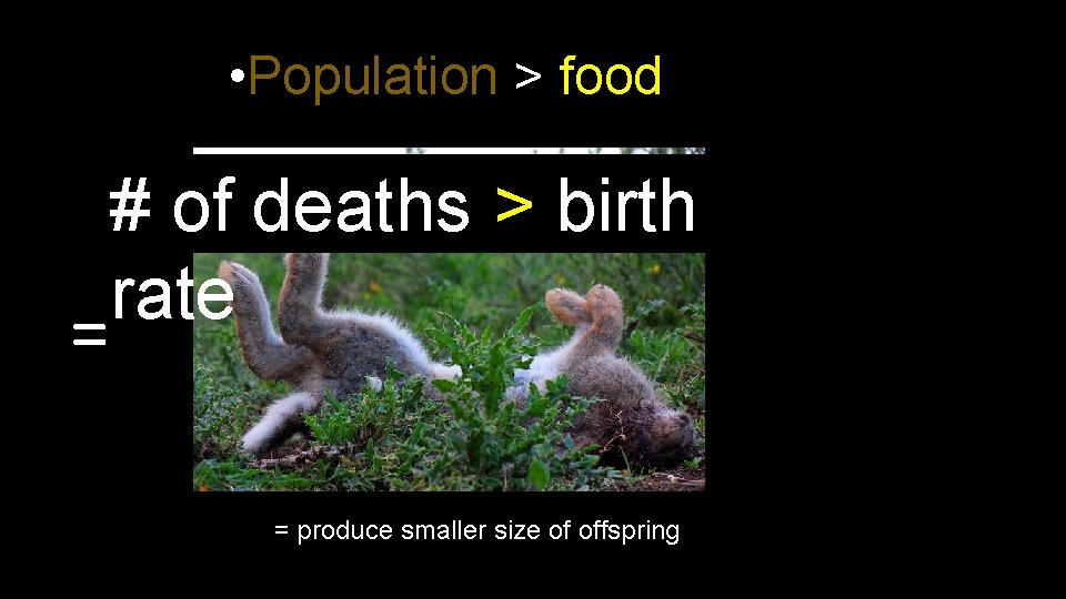  • Population > food = # of deaths > birth rate = produce