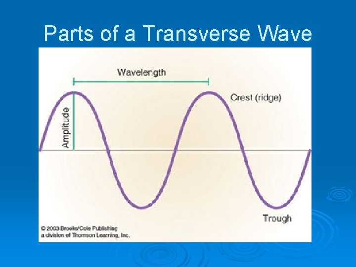 Parts of a Transverse Wave 