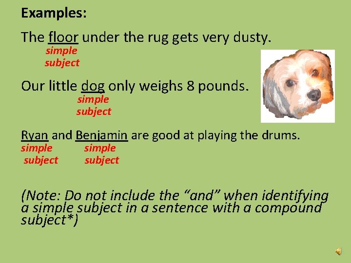 Examples: The floor under the rug gets very dusty. simple subject Our little dog