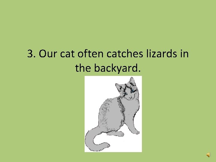 3. Our cat often catches lizards in the backyard. 