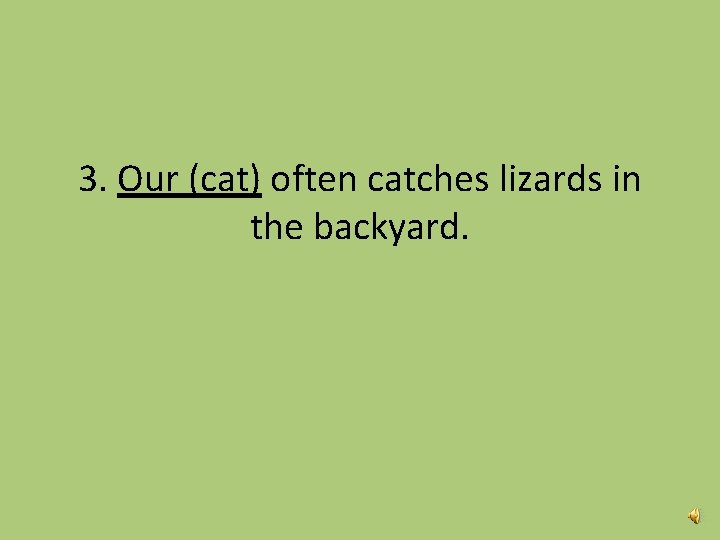 3. Our (cat) often catches lizards in the backyard. 